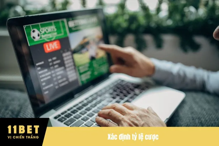 Xác định tỷ lệ cược