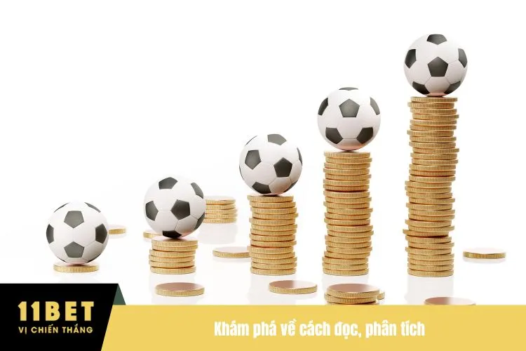 Khám phá về cách đọc, phân tích