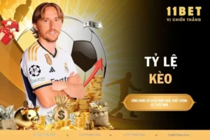 Tỷ lệ kèo - Kiến thức cơ bản mọi người chơi cần biết