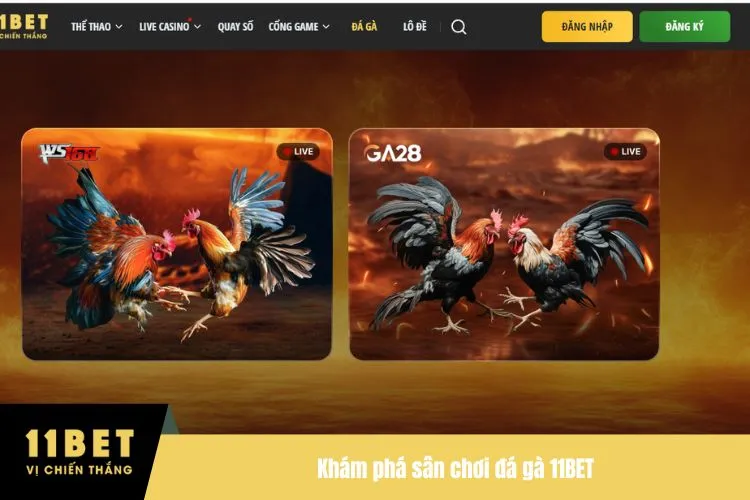 Khám phá sân chơi đá gà 11BET