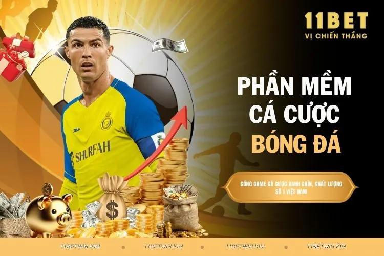 Phần mềm cá cược bóng đá - Công cụ hỗ trợ chính xác