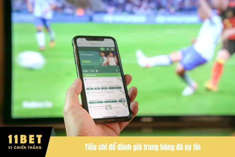 Tiêu chí để đánh giá trang bóng đá uy tín